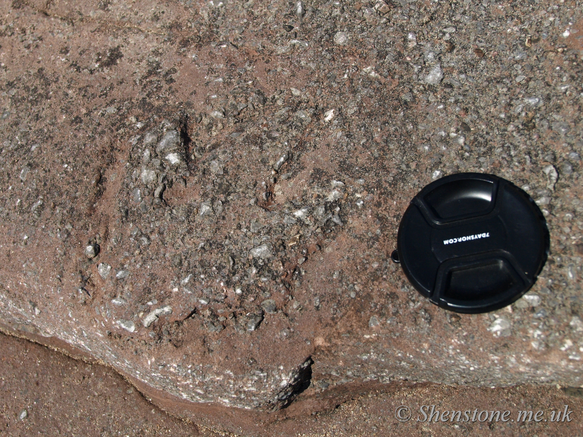 Dinosaur Footprint in Triassic sandstone, Bendrick Rocks, Wales, UK