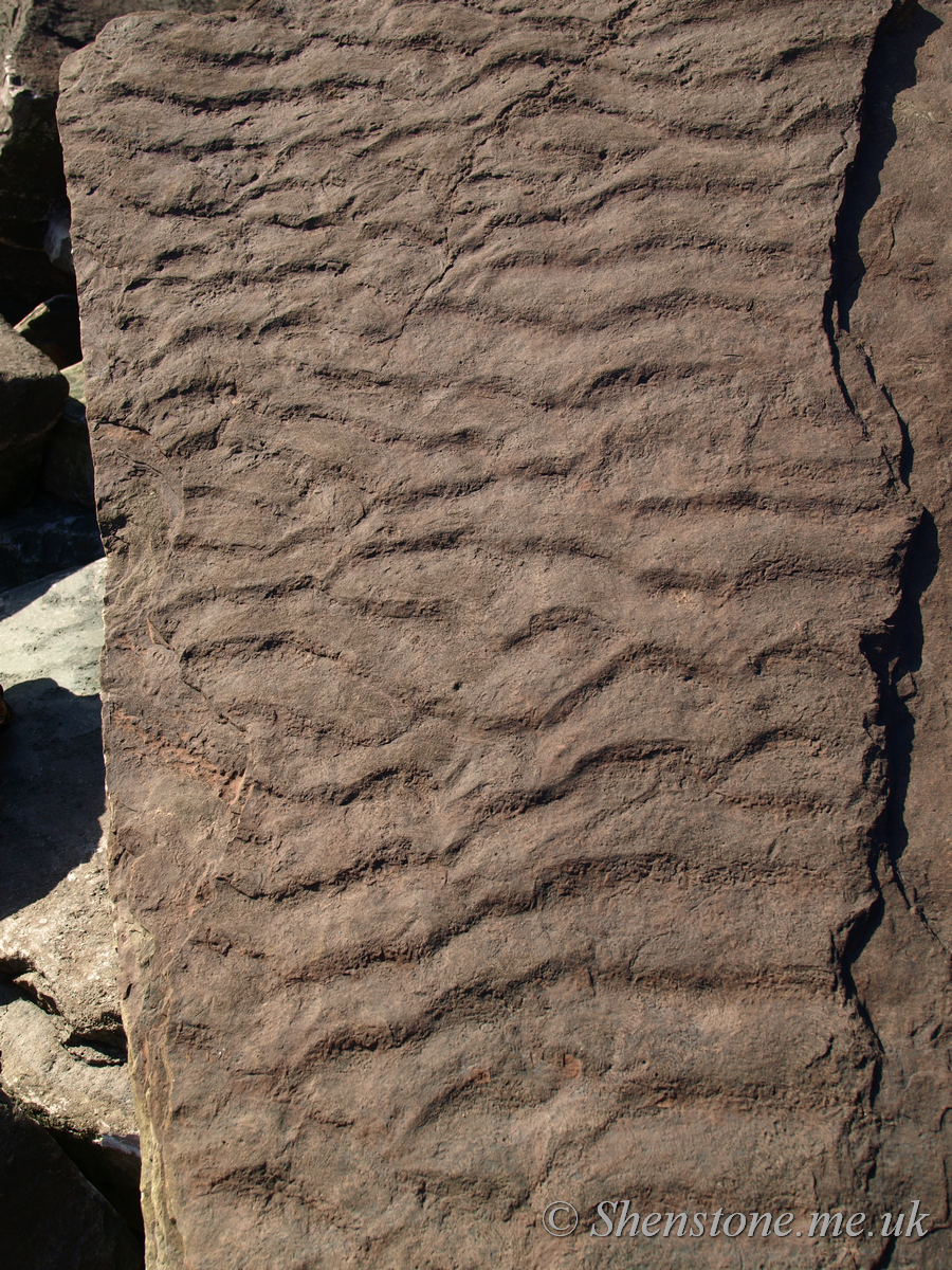 Ripples in Triassic sandstone, Bendrick Rocks, Wales, UK