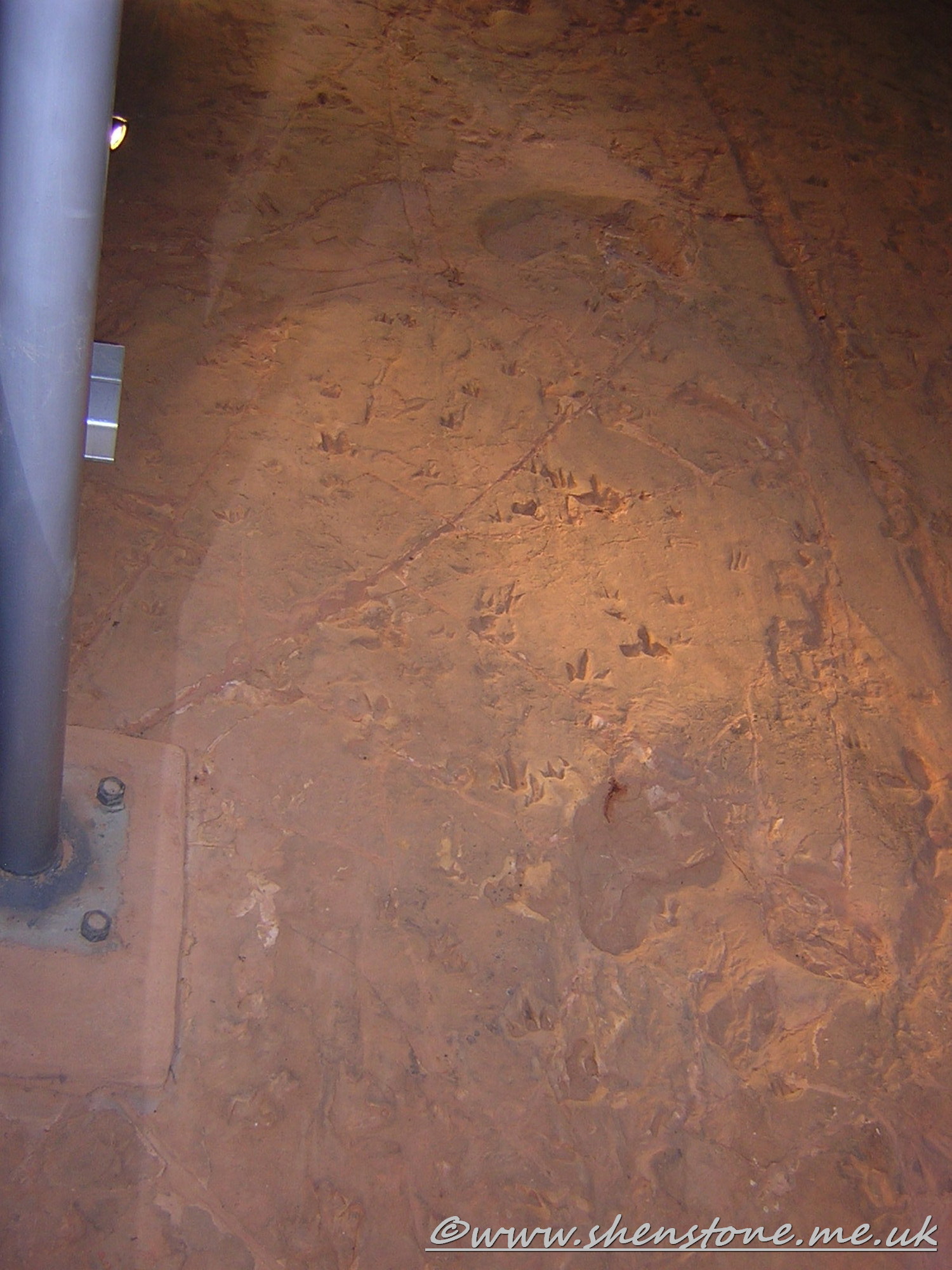 Cretaceous Dinosaur "stampede" tracks, Lark Hill WQuarry, Winton, Australia.