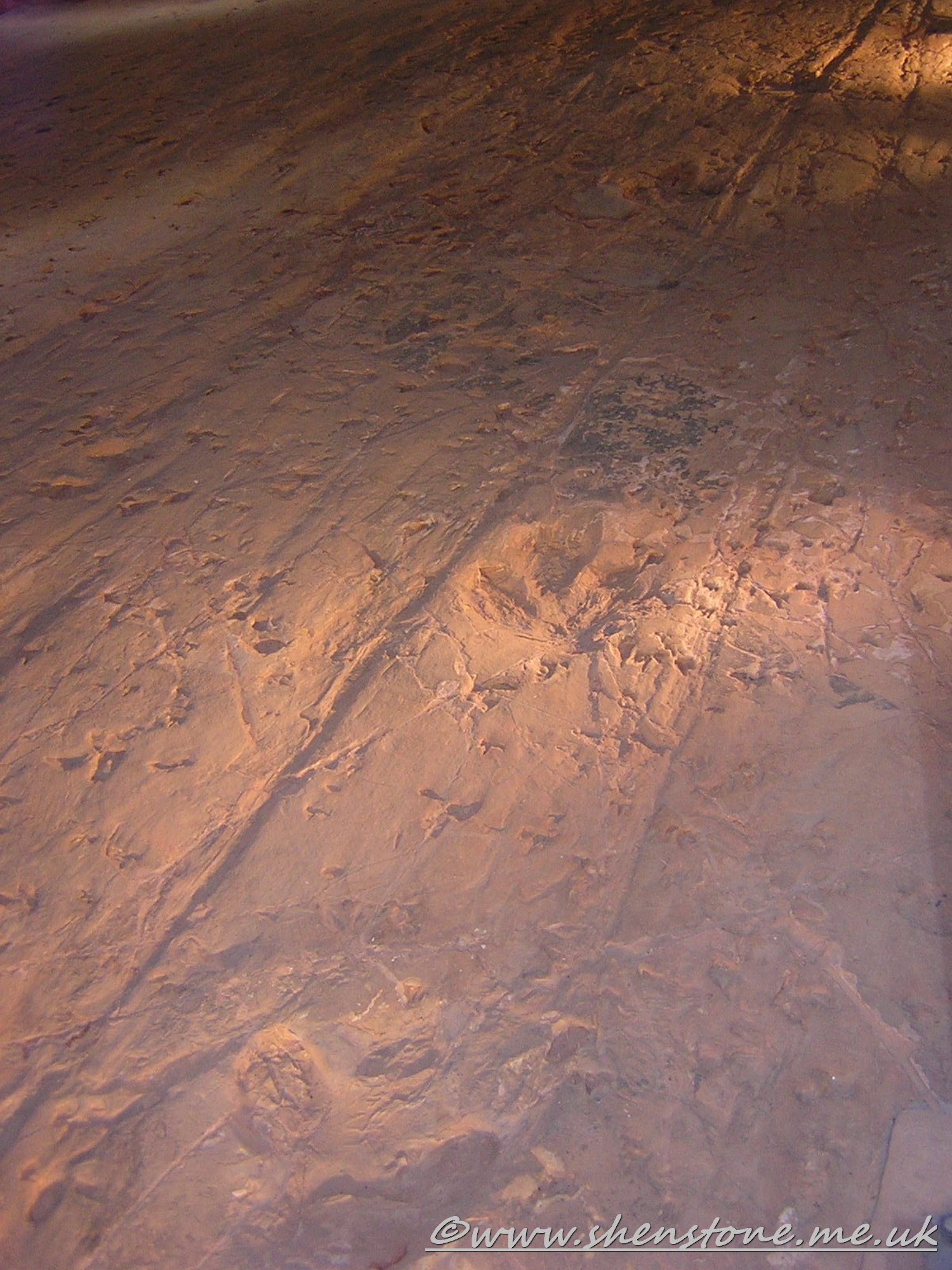 Cretaceous Dinosaur "stampede" tracks, Lark Hill WQuarry, Winton, Australia.