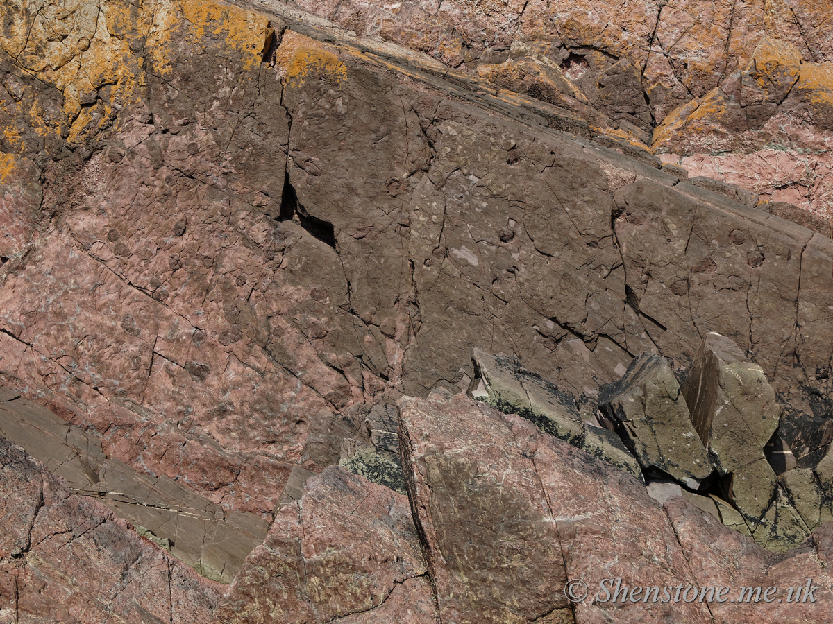 Beaconites atlanticus, Moor Cliffs formation, Presipe Bay, Manorbier, Pembrokeshire, Wales