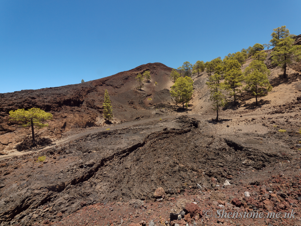 Very recent lava flow covering fertile ground