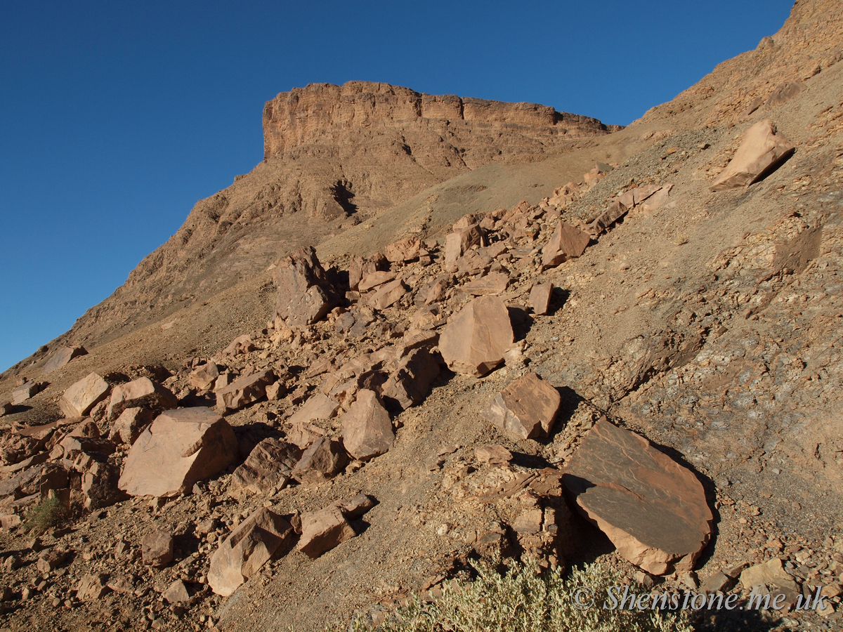 Ordovician Trilobite hunting with Mohammad Bouyiri near Alnif