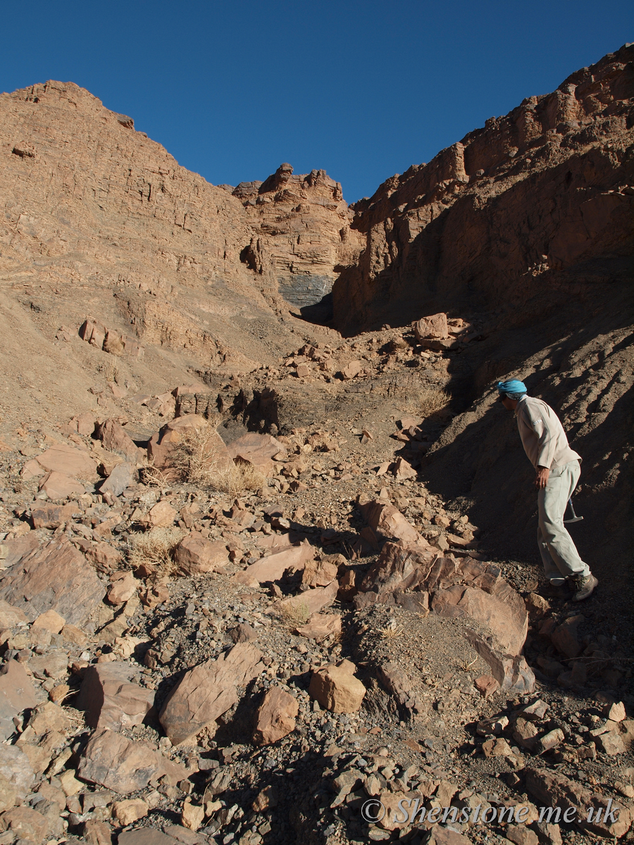 Ordovician Trilobite hunting with Mohammad Bouyiri near Alnif