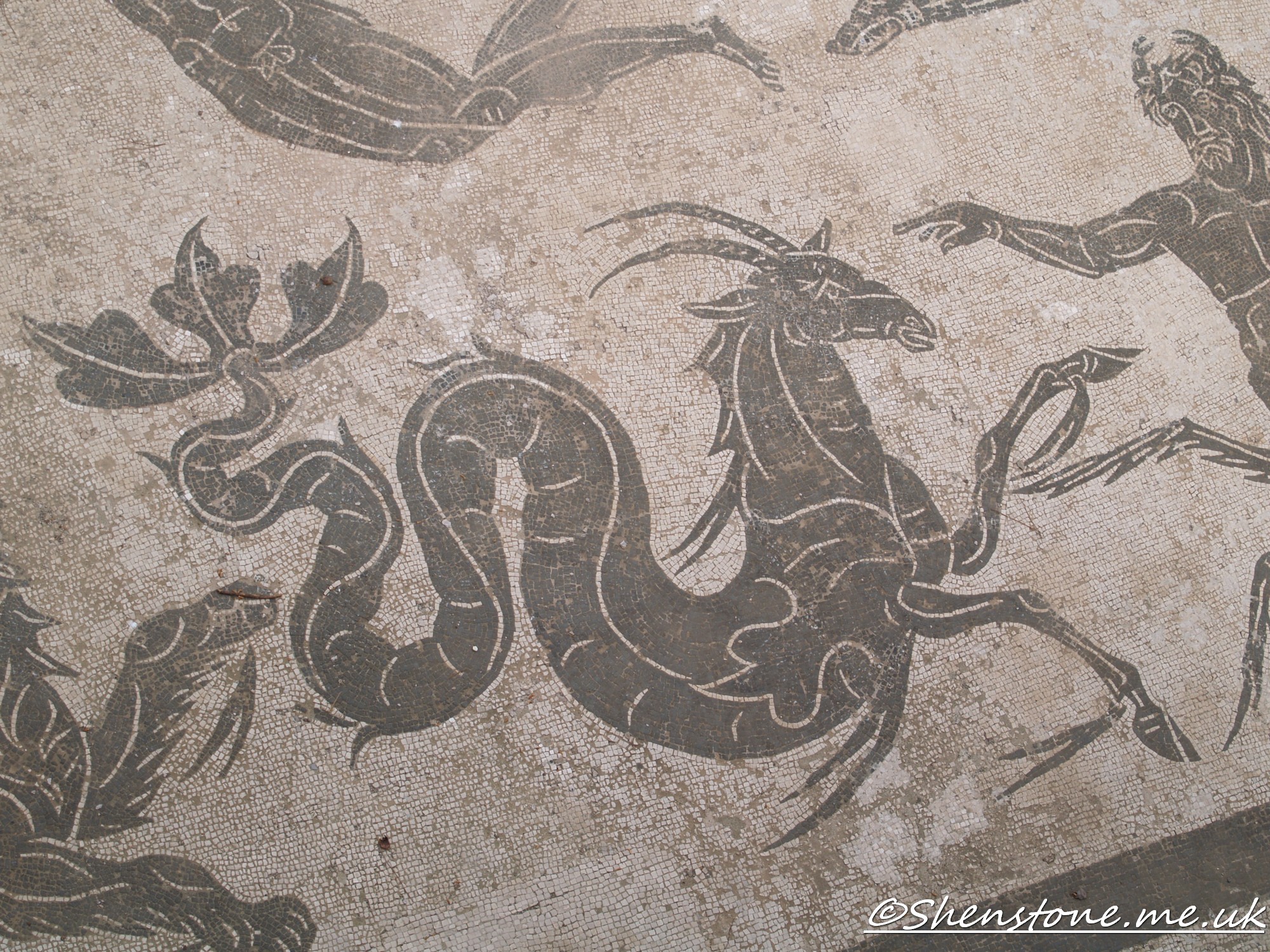 Mosaic, Ostia Antica, Italy