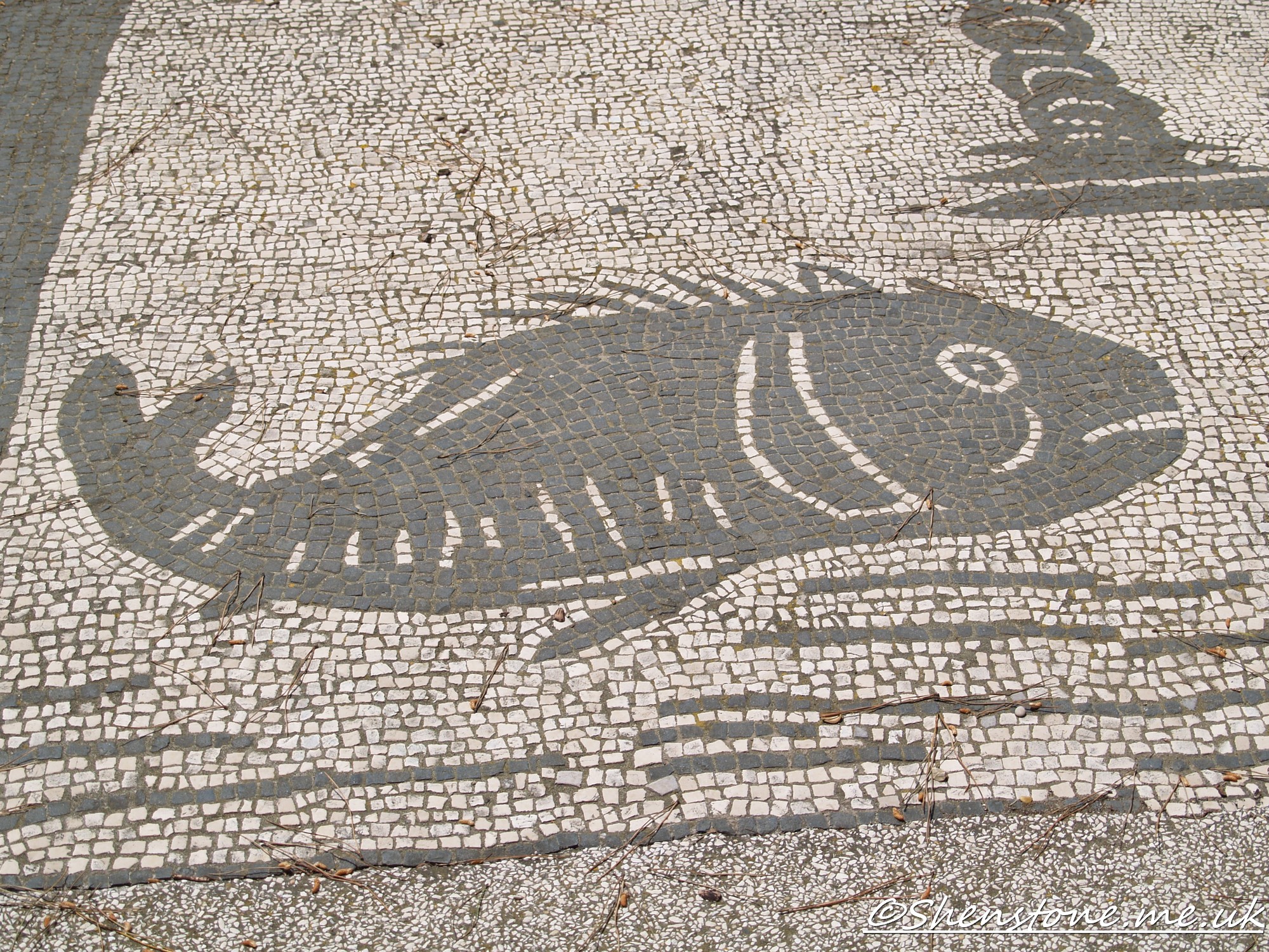 Mosaic fish, Ostia Antica, Italy