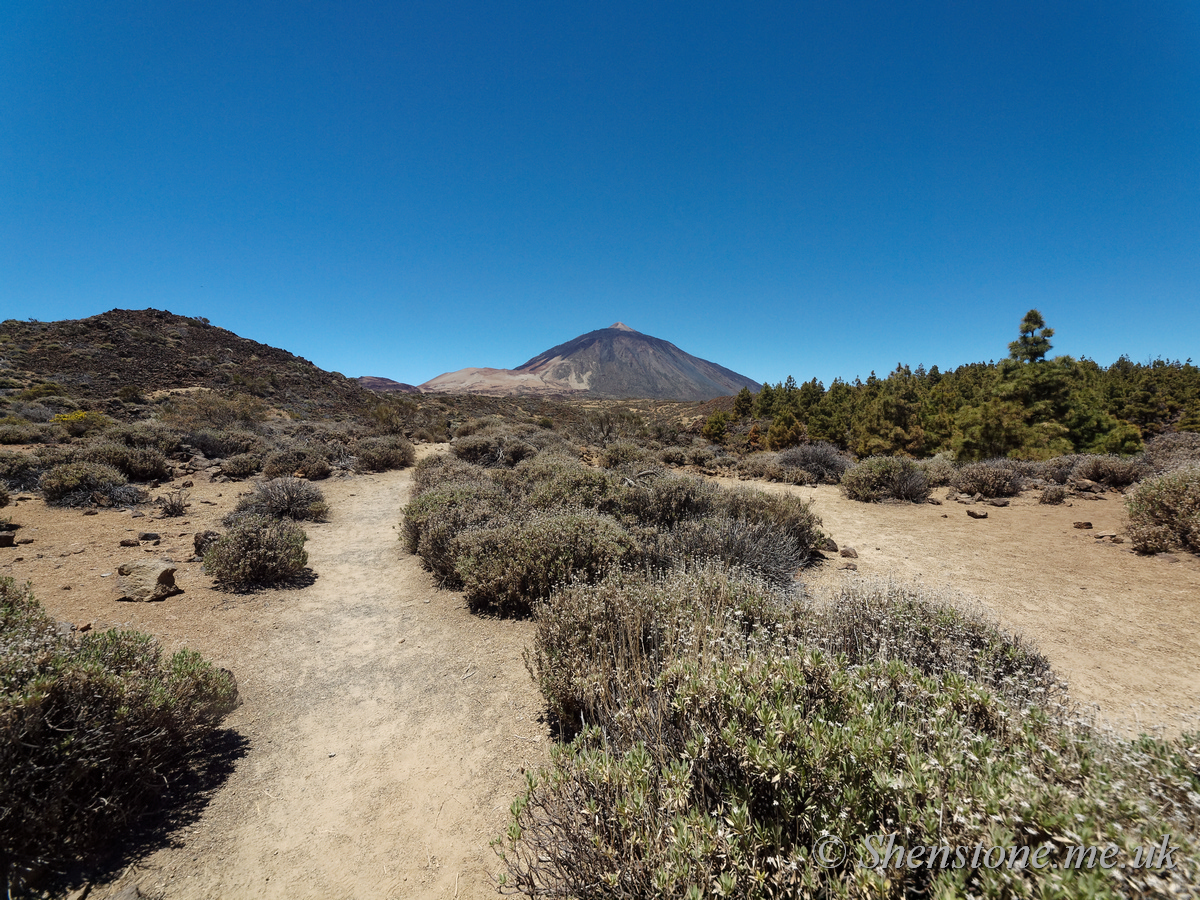 Mount Teide / Pico del Teide