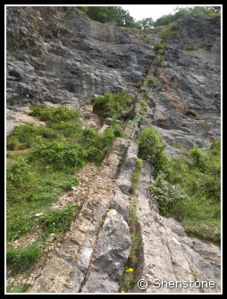 Carboniferous
                        Limestone of different hardness and thinkness of
                        beds, Burrington coombe, Mendip UK