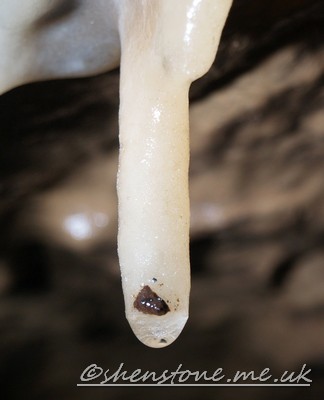 Straw Stalactite